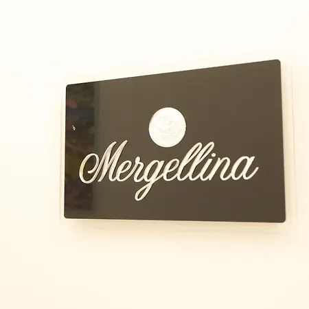 Πανσιόν Mecla